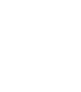 agnesemarcolin
